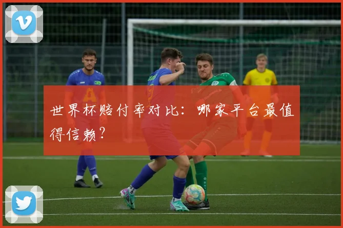 世界杯赔付率对比：哪家平台最值得信赖？