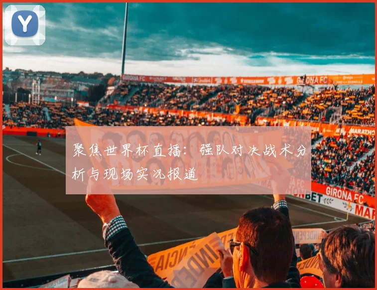 聚焦世界杯直播：强队对决战术分析与现场实况报道